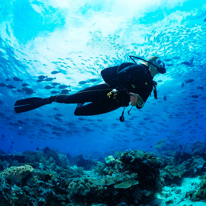 this is an image of a person scuba diving in cozumel near an all-inclusive resorts Mexico Resort by Inclusive Collection